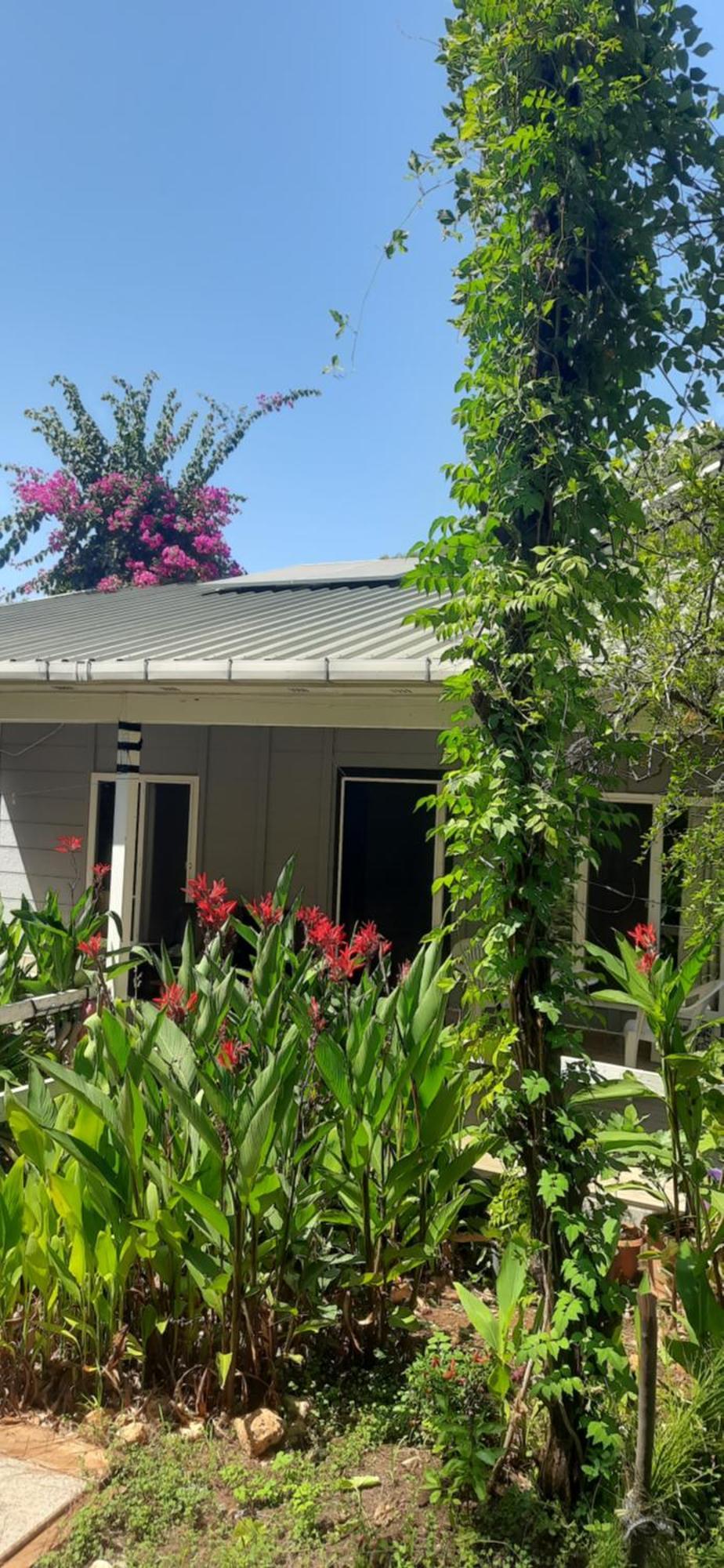 Gelidonia Fenerium Holiday Home อันตัลยา ภายนอก รูปภาพ
