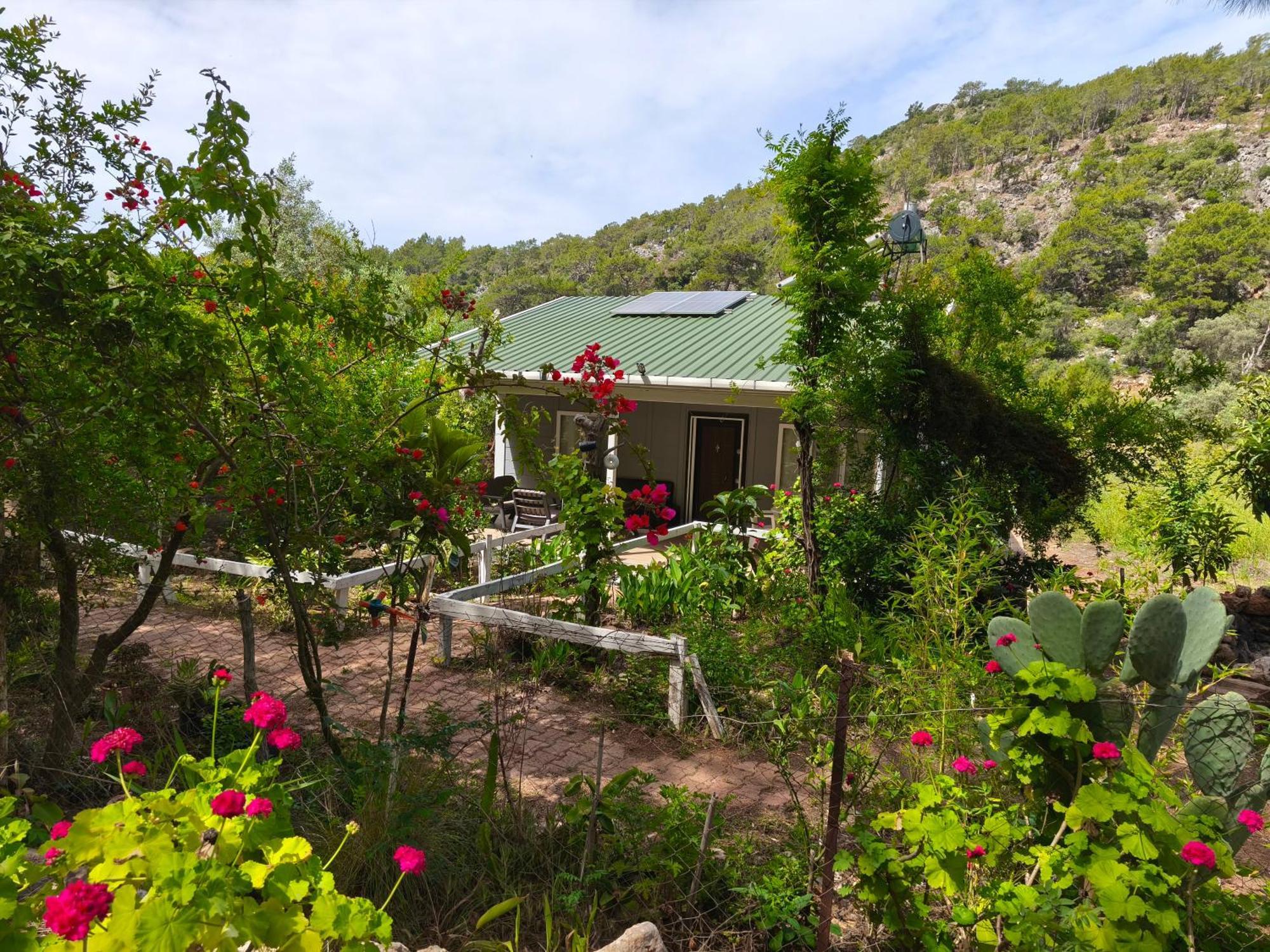 Gelidonia Fenerium Holiday Home อันตัลยา ภายนอก รูปภาพ