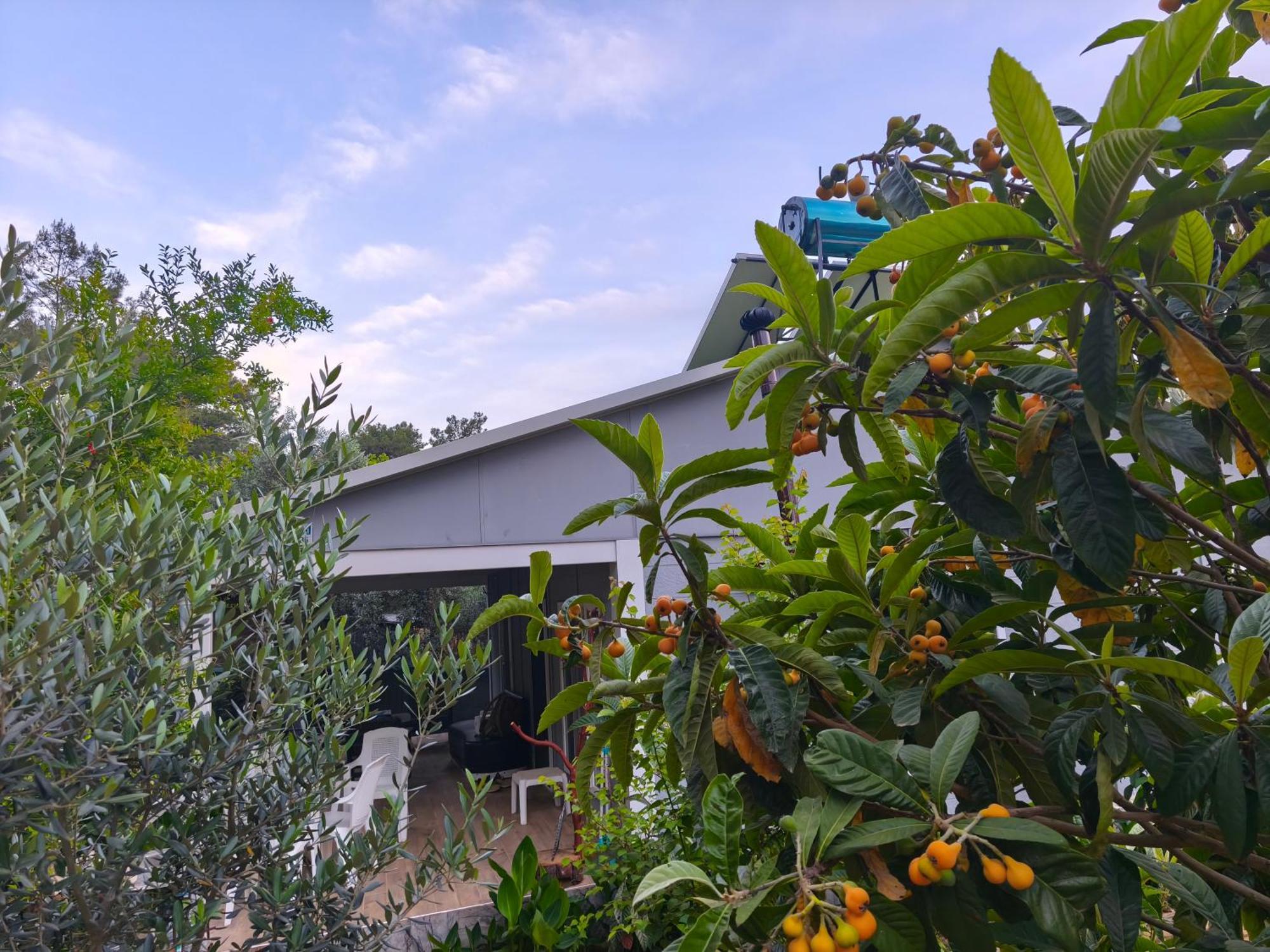 Gelidonia Fenerium Holiday Home อันตัลยา ภายนอก รูปภาพ