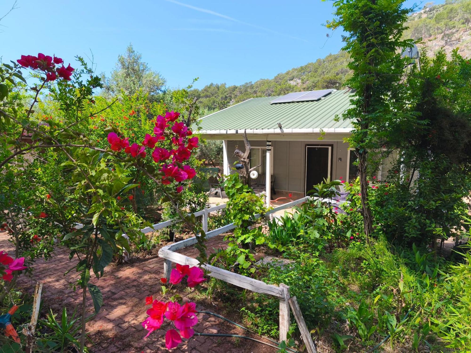 Gelidonia Fenerium Holiday Home อันตัลยา ภายนอก รูปภาพ